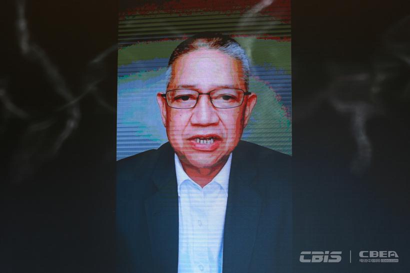 【CBIS2020】格伦·佩尼亚兰达：菲律宾新能源汽车及动力电池产业发展政策与机会